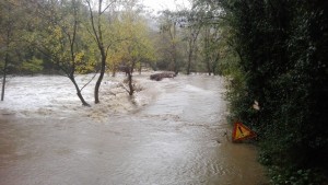 14939438_1390467584310821_865251952021454688_o