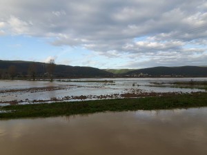 14947534_10154610404334831_733479572872993325_n