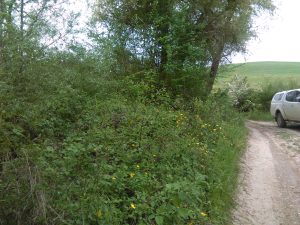 img_20160418_140141prima