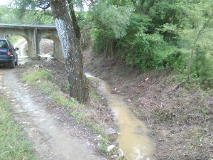 corsi d'acqua 