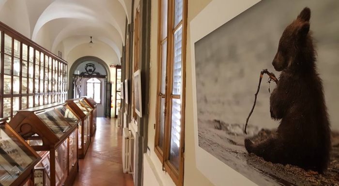 L'Accademia dei Fisiocritici solidale con l'Universit&agrave; di Camerino colpita dal terremoto