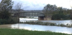 Fiume Ombrone, chiuso il servizio di piena