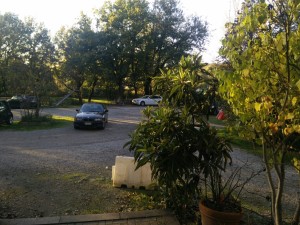 whatsapp-image-2016-11-12-at-17-02-47-1