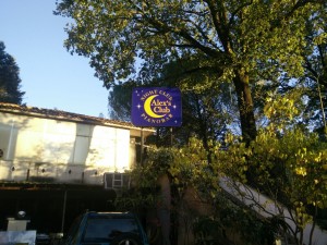 Omicidio causato dalla gelosia: l'uomo ha una moglie e due figli - IL VIDEO