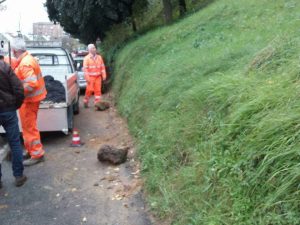 Frana in Don Minzoni colpisce due auto - LE FOTO