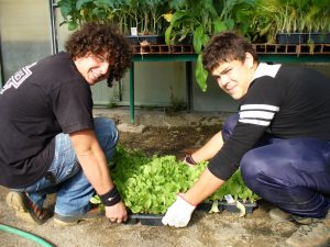 Agricoltura, enogastronomia, ospitalit&agrave; alberghiera: il &lsquo;Ricasoli&rsquo; si presenta con gli Open Day