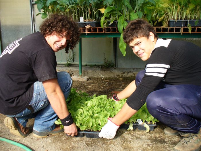 Agricoltura, enogastronomia, ospitalit&agrave; alberghiera: il &lsquo;Ricasoli&rsquo; si presenta con gli Open Day