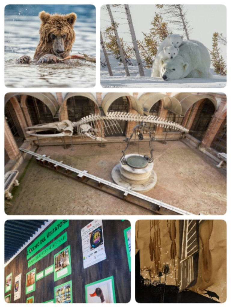 Ultimo fine settimana di apertura straordinaria ai Fisiocritici