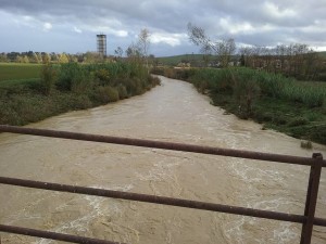Maltempo, Consorzio di Bonifica 6 Toscana Sud vigila sulla situazione di fiumi, torrenti e fossi