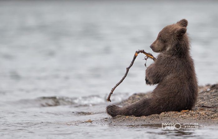 Solidariet&agrave;:  all&rsquo;asta le 100 foto pi&ugrave; belle di &ldquo;Beyond the Lens&rdquo; 2015