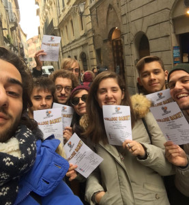 volantinaggio-springtails1