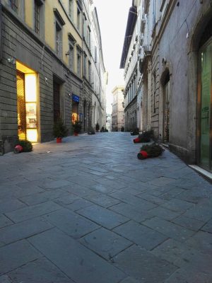 Atto vandalico in via Montanini: gi&ugrave; tutti gli alberi - LE FOTO