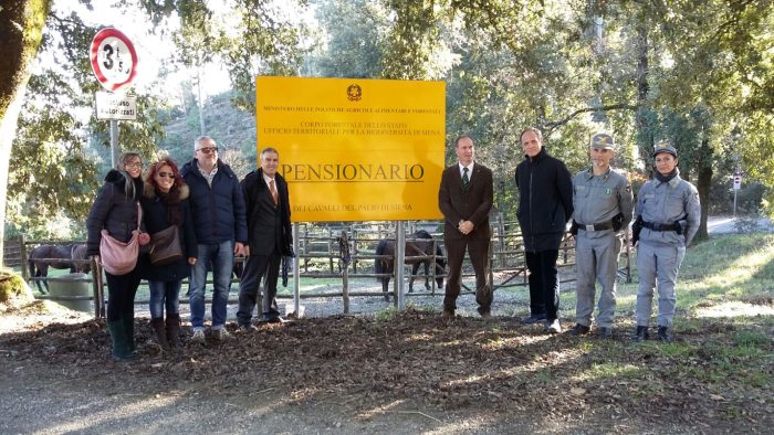 Valentini al pensionario dei cavalli: "Il Comune continuer&agrave; a sostenerlo"