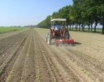 “Agricoltura, nuove tendenze e nuovi mercati tra luci ed ombre”, un convegno a Siena