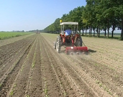 Covid, Coldiretti: “Via libera a 18mila lavoratori stagionali extracomunitari”