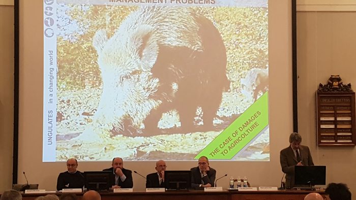 Fauna selvatica: oltre un milione la stima dei danni agli agricoltori nel 2016