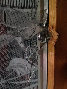 Rapina al supermercato di Torrita di Siena