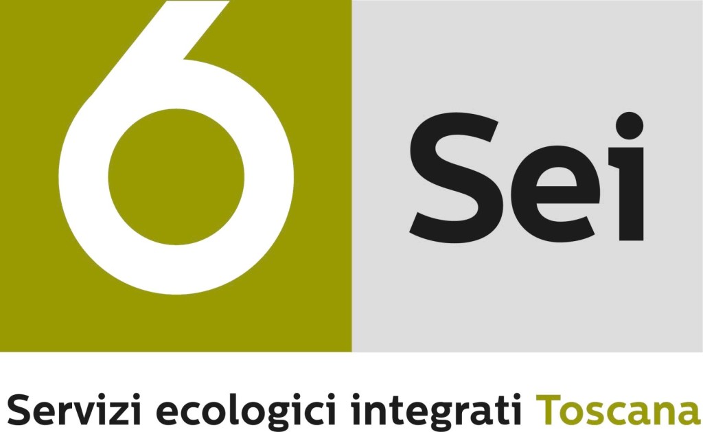 Sei Toscana: "Nessun disagio ai servizi per il Decreto Dignità. Lavoriamo per garantire continuità ai lavoratori"