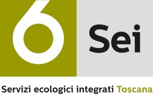 Sei Toscana: "Nessun disagio ai servizi per il Decreto Dignità. Lavoriamo per garantire continuità ai lavoratori"