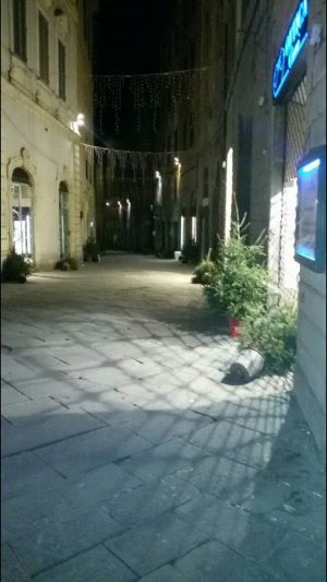 I vandali sfidano la citt&agrave;: ancora gi&ugrave; gli alberi in via Montanini