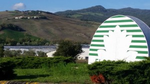 Floramiata: la soddisfazione per la vendita