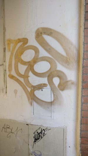 Scritte sui muri: Tees imbratta anche l'ingresso della societ&agrave; del Drago