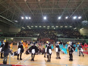 carnevale sui pattini 4