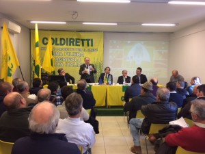 Cerealicoltura, annus horribilis: produttori in ginocchio