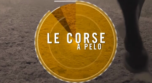 Le Corse a Pelo (Monteroni d'Arbia) 20170312