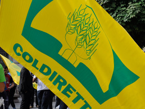 Circondato dai lupi mentra passeggia a Castellina in Chianti, l'allarme di Coldiretti