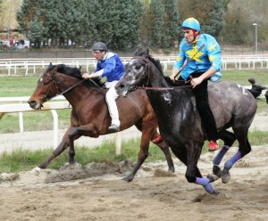 Pian delle Fornaci corse seconda giornata 2017 (12)