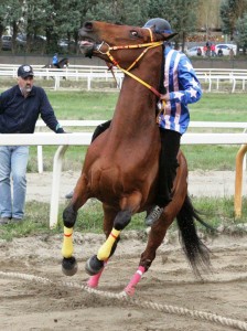 Pian delle Fornaci corse seconda giornata 2017 (14)