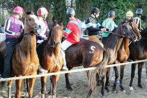 Pian delle Fornaci corse seconda giornata 2017 (15)