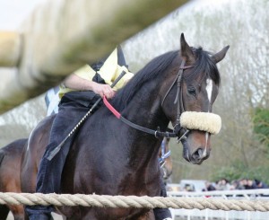 Pian delle Fornaci corse seconda giornata 2017 (16)