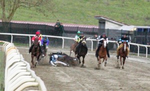 Pian delle Fornaci corse seconda giornata 2017 (21)