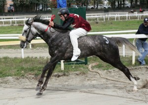 Pian delle Fornaci corse seconda giornata 2017 (3)