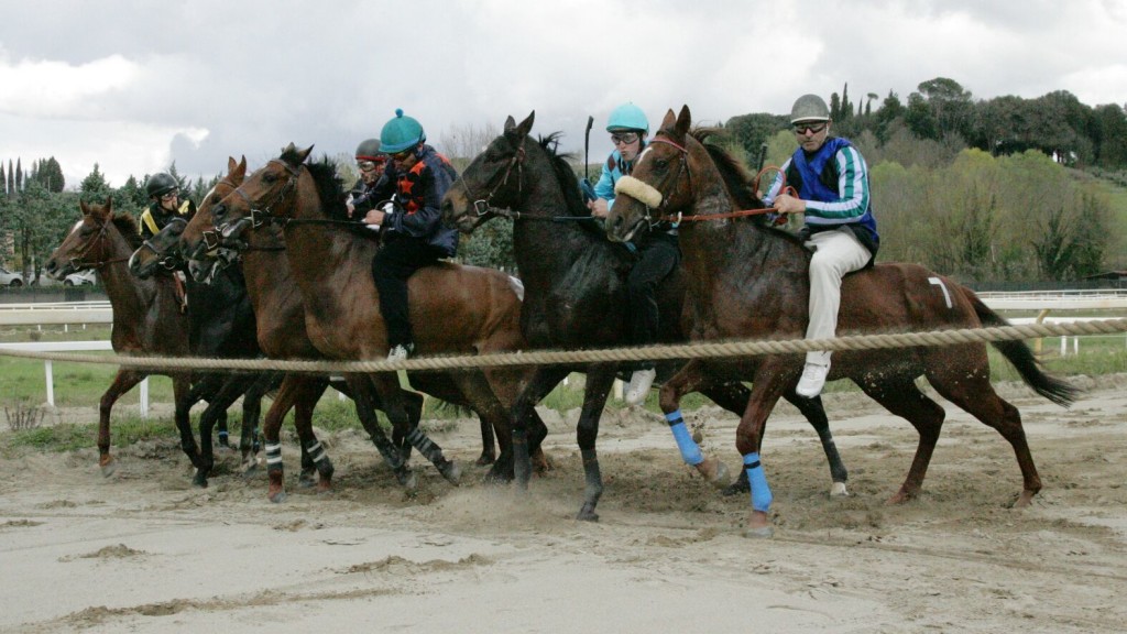Pian delle Fornaci: tutti i partenti. Le corse domani in onda su Siena Tv ore 22.45