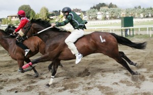 Pian delle Fornaci corse seconda giornata 2017 (6)