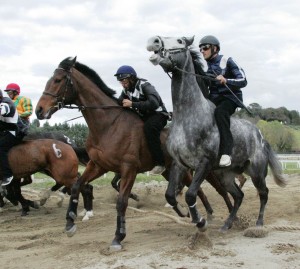 Pian delle Fornaci corse seconda giornata 2017 (7)