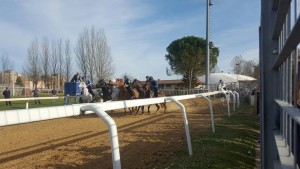 Corse di Monteroni in onda oggi pomeriggio e in replica stasera su Siena Tv