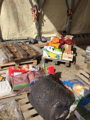 Arrivato a destinazione il materiale raccolto a Siena per gli animali delle zone terremotate