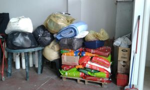 Raccolta di cibo e coperte per gli animali delle zone terremotate