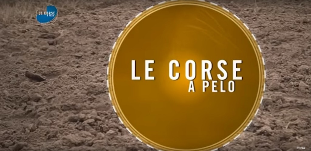 Corse a pelo, Monticiano 20170515