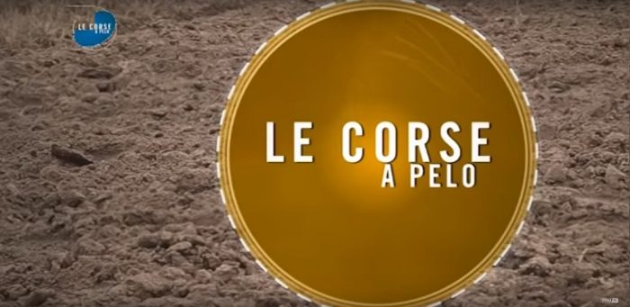 Corse a pelo, Monticiano 20170515