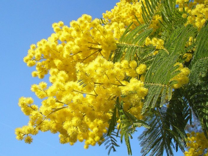 Unione Comuni Valdichiana Senese, gli eventi per la Giornata Internazionale dei Diritti della Donna