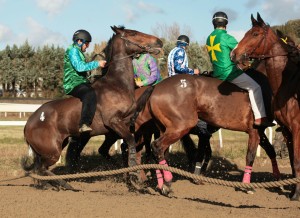 pian delle fornaci prima giornata 2017 (10)