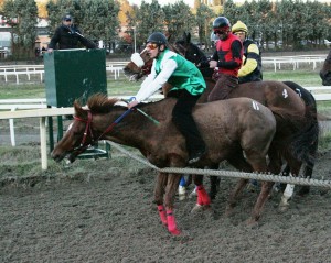 pian delle fornaci prima giornata 2017 (13)