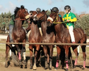 pian delle fornaci prima giornata 2017 (16)