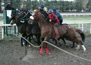 pian delle fornaci prima giornata 2017 (3)