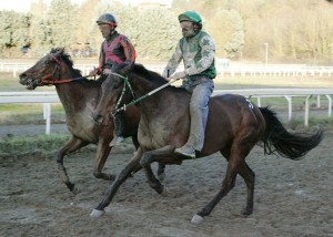 pian delle fornaci prima giornata 2017 (4)